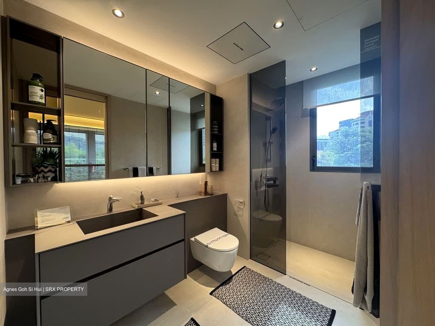 Union Square Residences (D1), Condominium #583370101